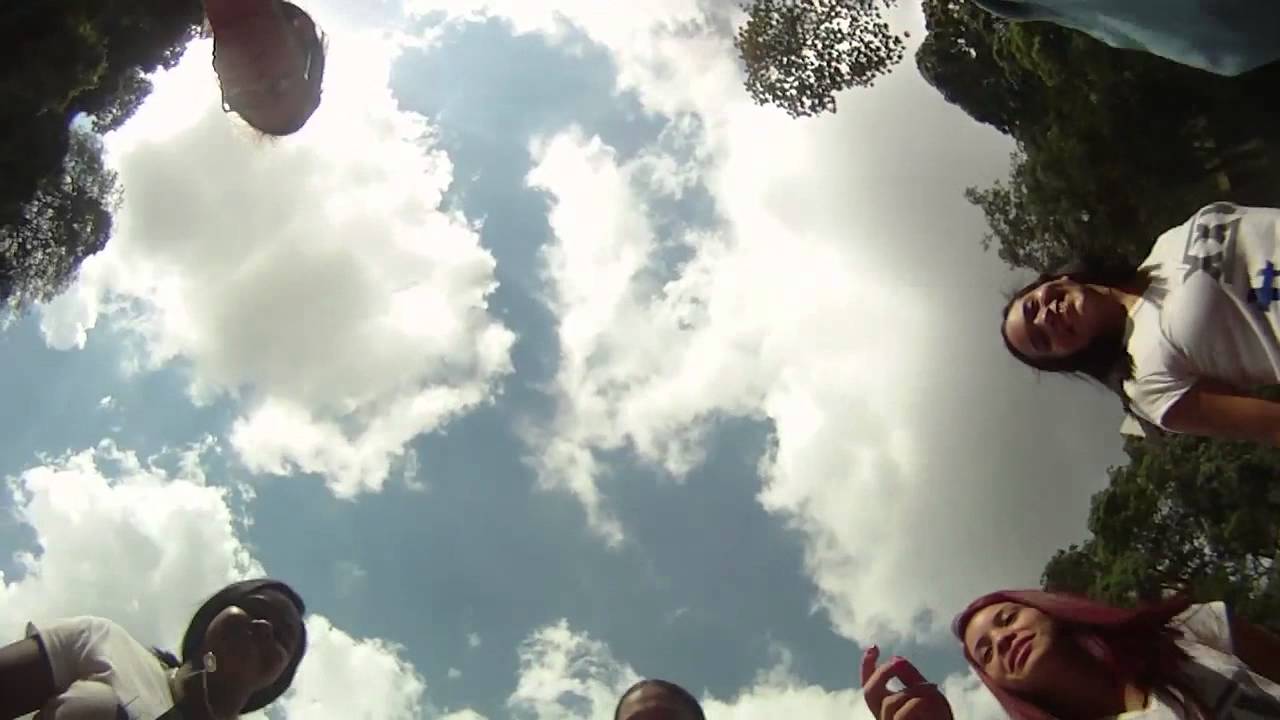 Agarra un Flips CEAPUCV