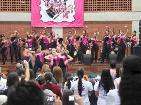 Gaitas Mater Salvatoris 2014