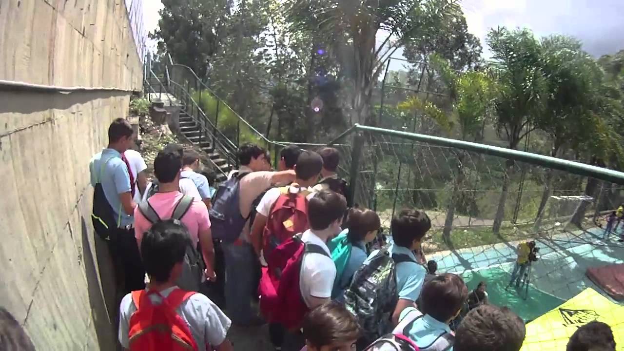 LLEGADA TRIXANDTRAX IEA